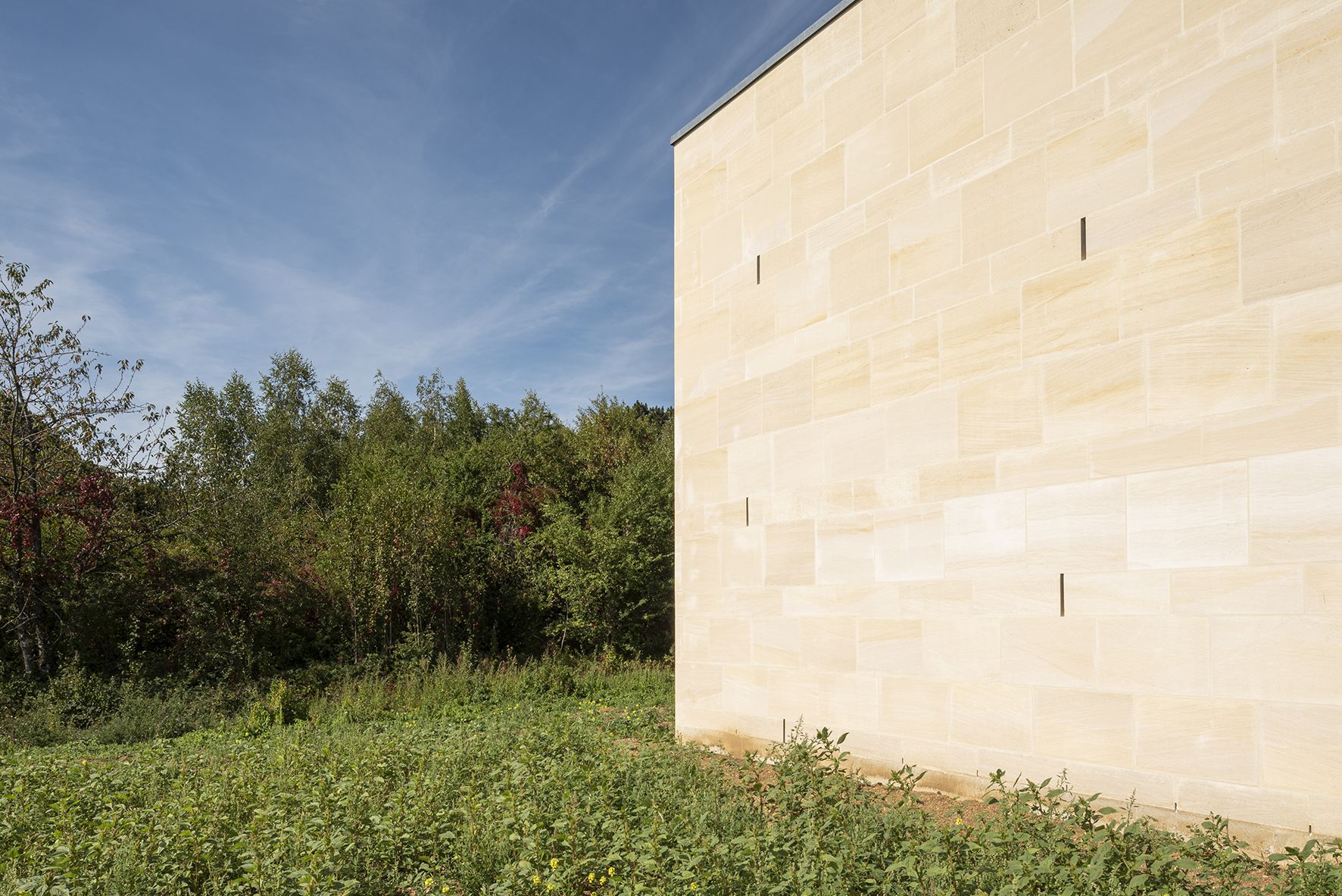 Collectif StudioLada