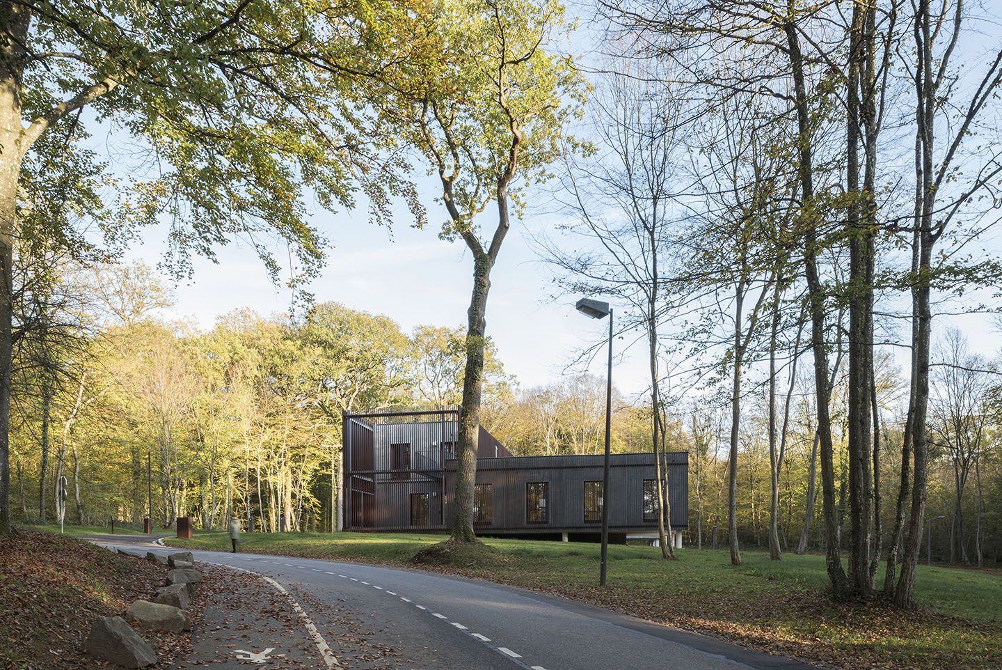 Collectif StudioLada