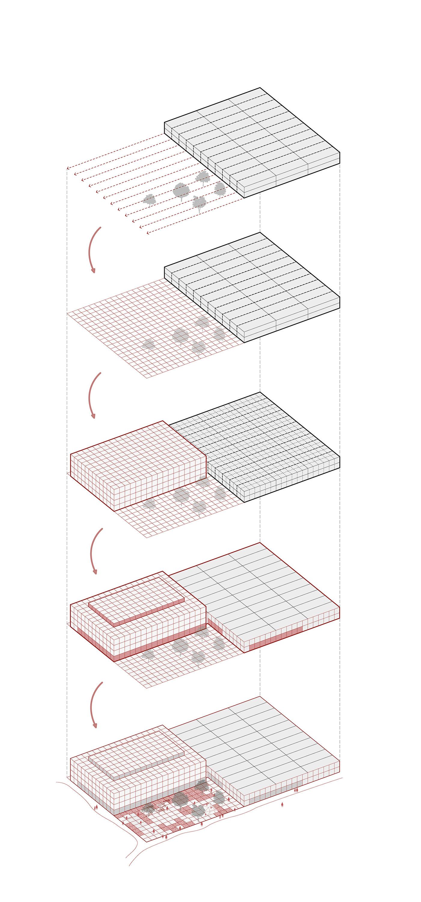 Collectif StudioLada