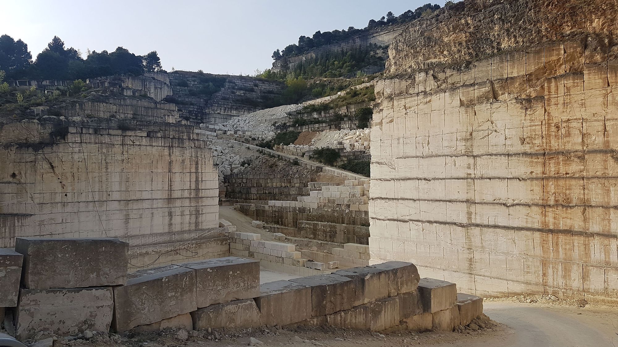 Collectif StudioLada