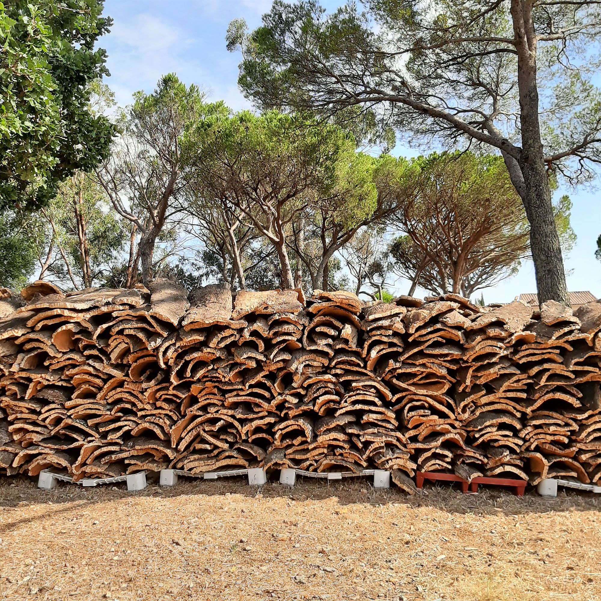 Collectif StudioLada