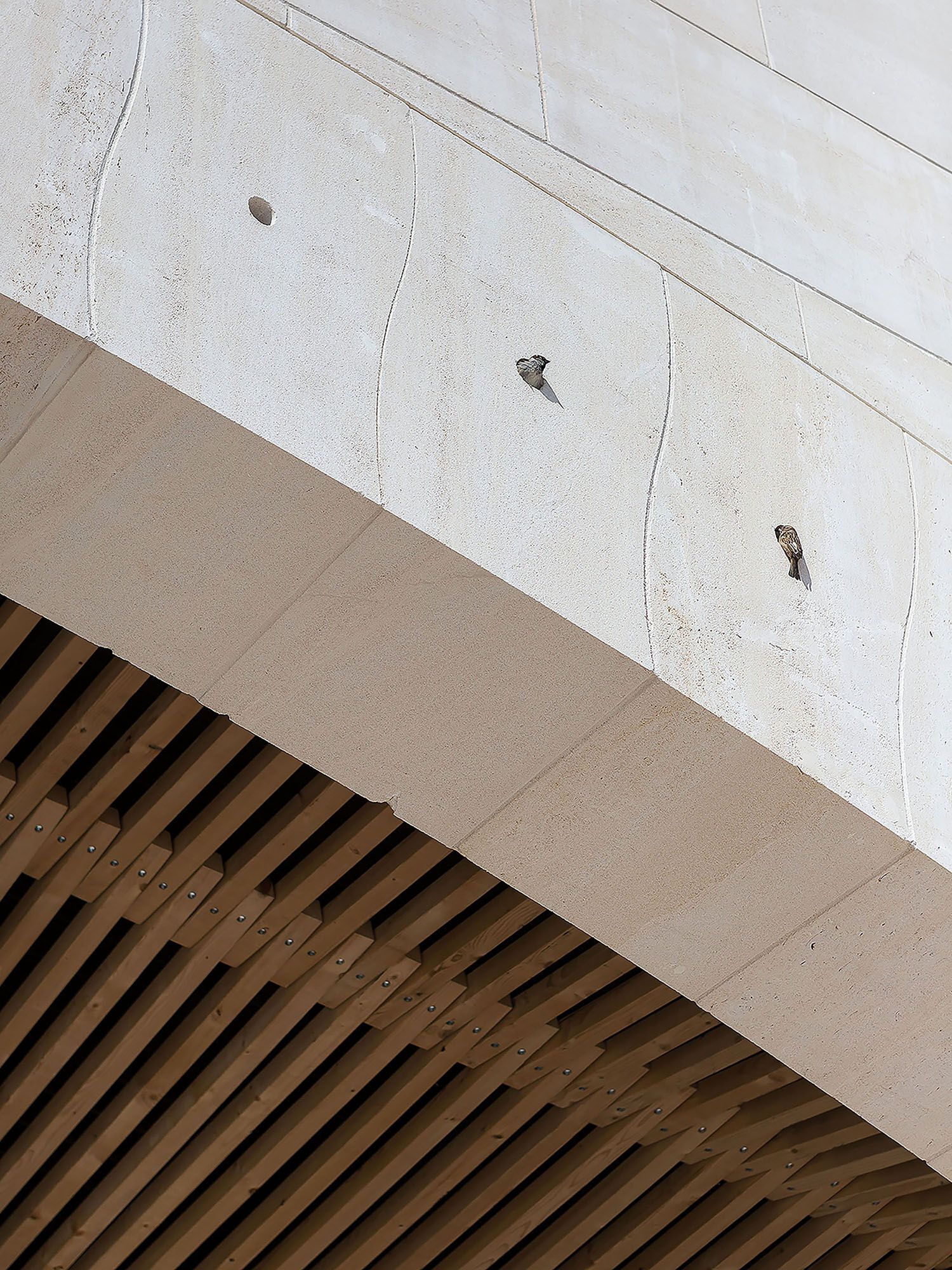 Collectif StudioLada