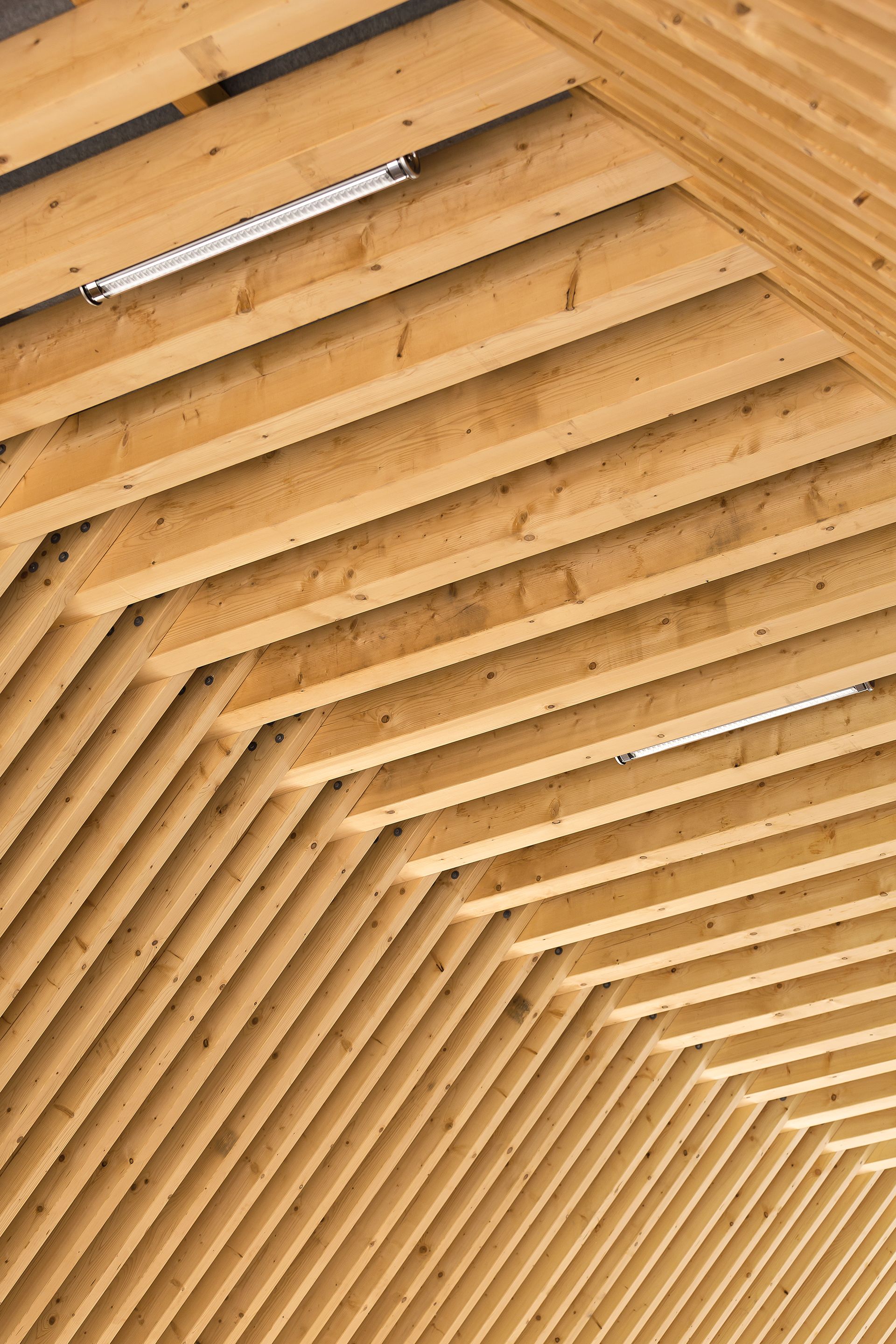 Collectif StudioLada