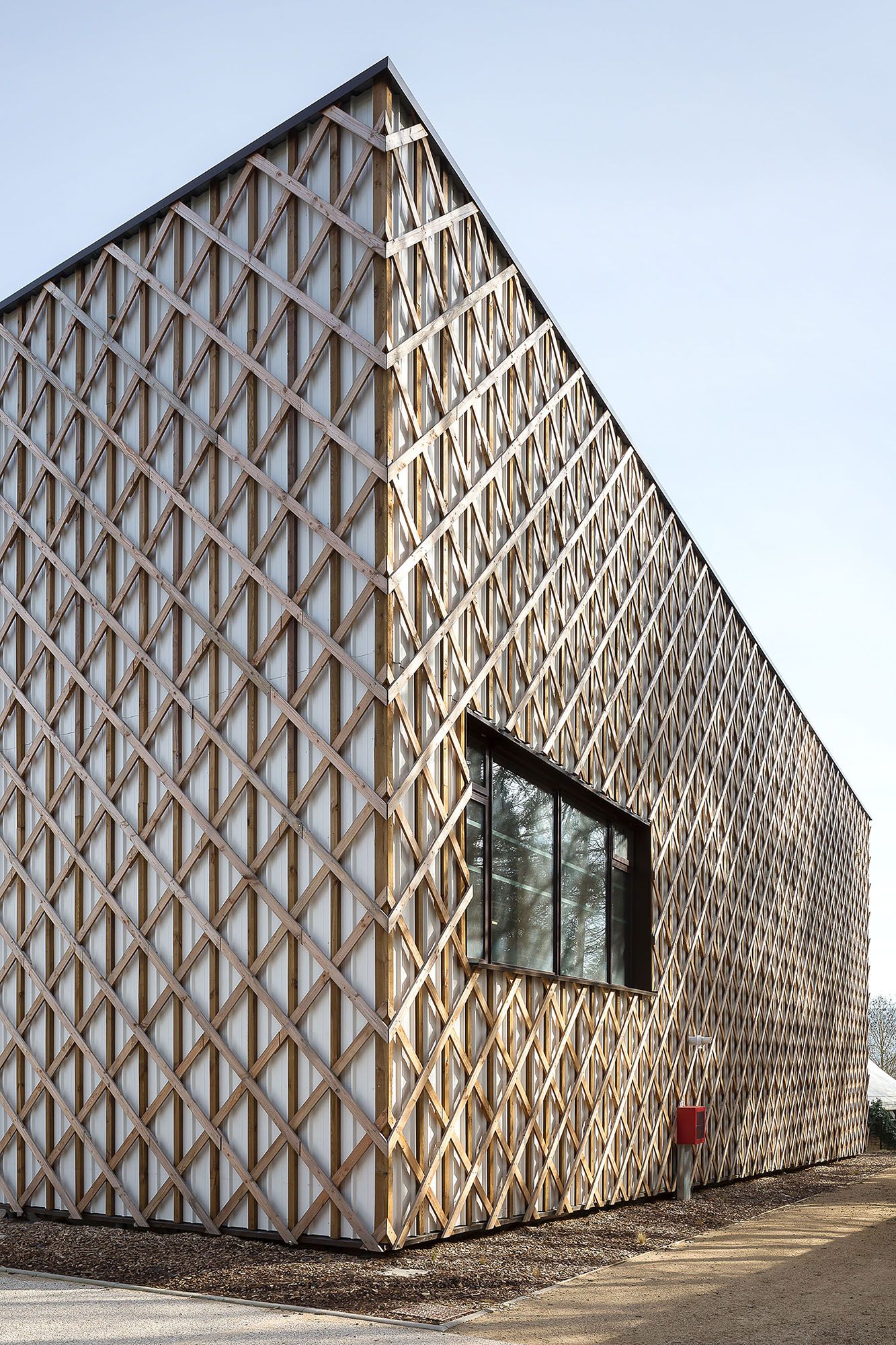 Collectif StudioLada