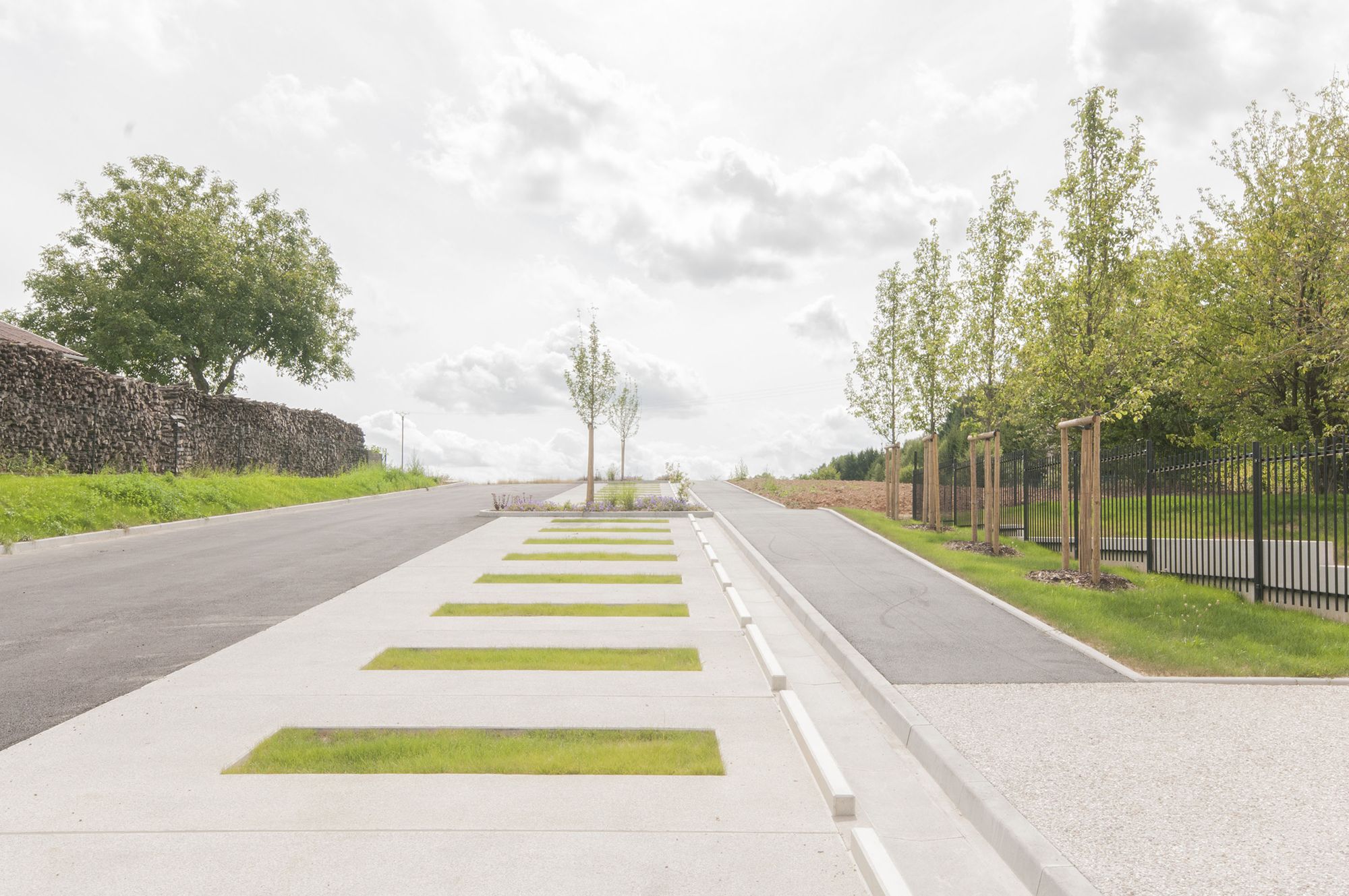 Collectif StudioLada