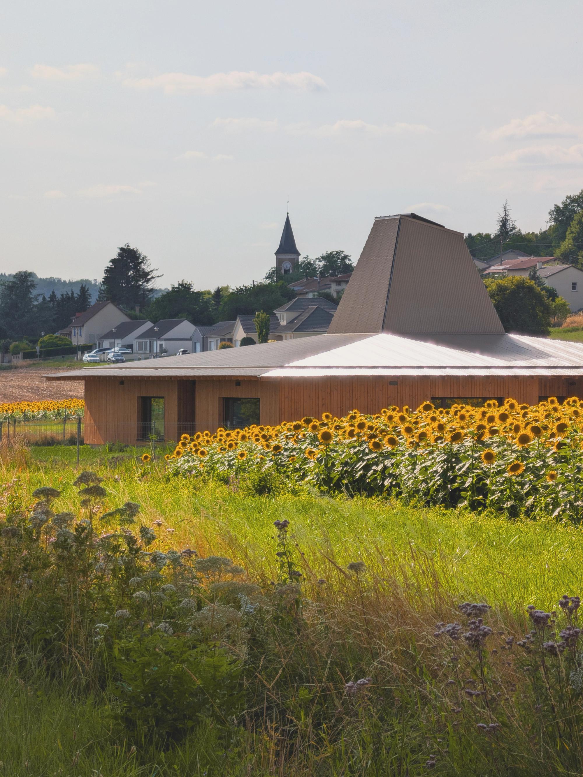 Collectif StudioLada