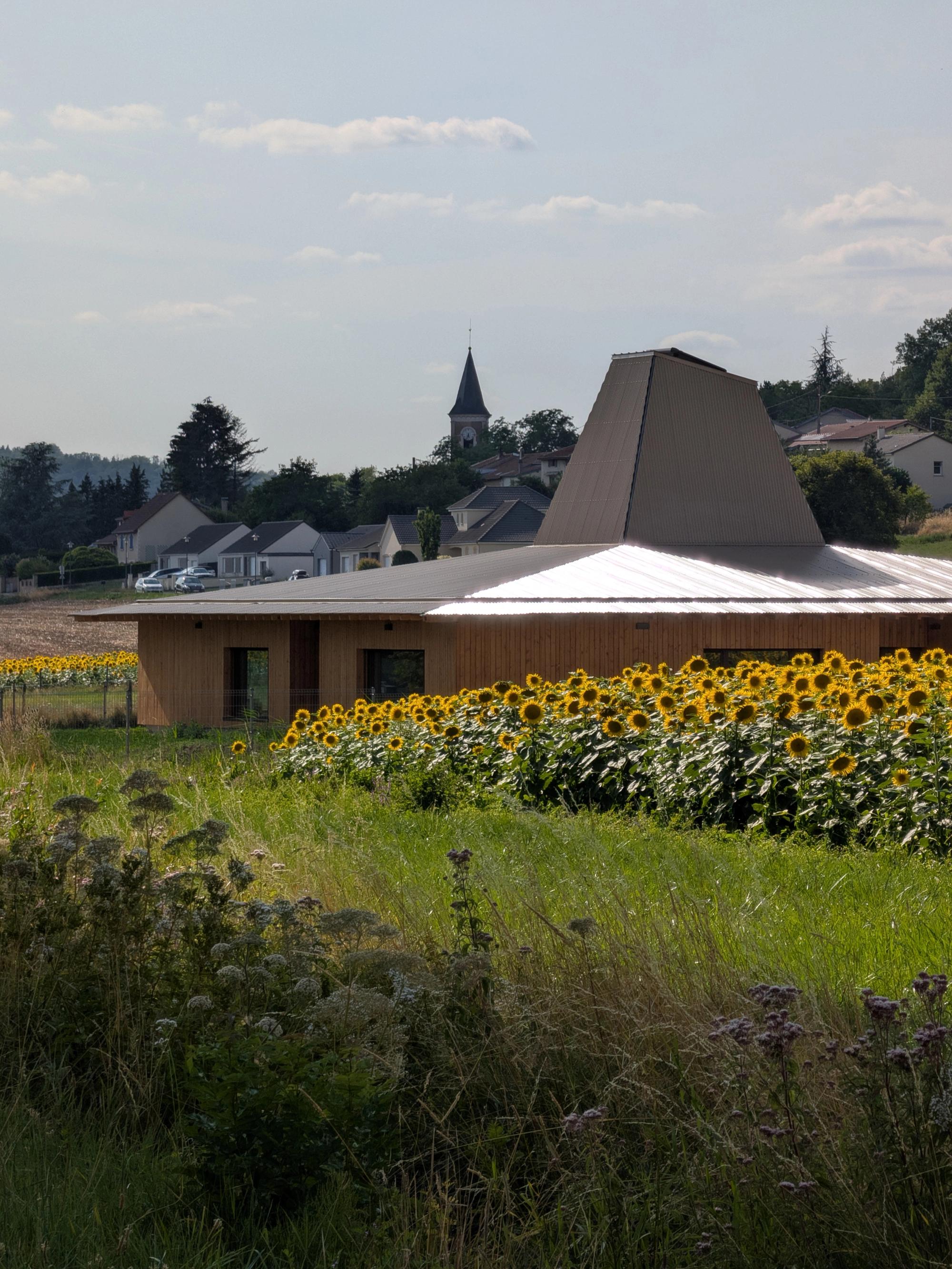 Collectif StudioLada