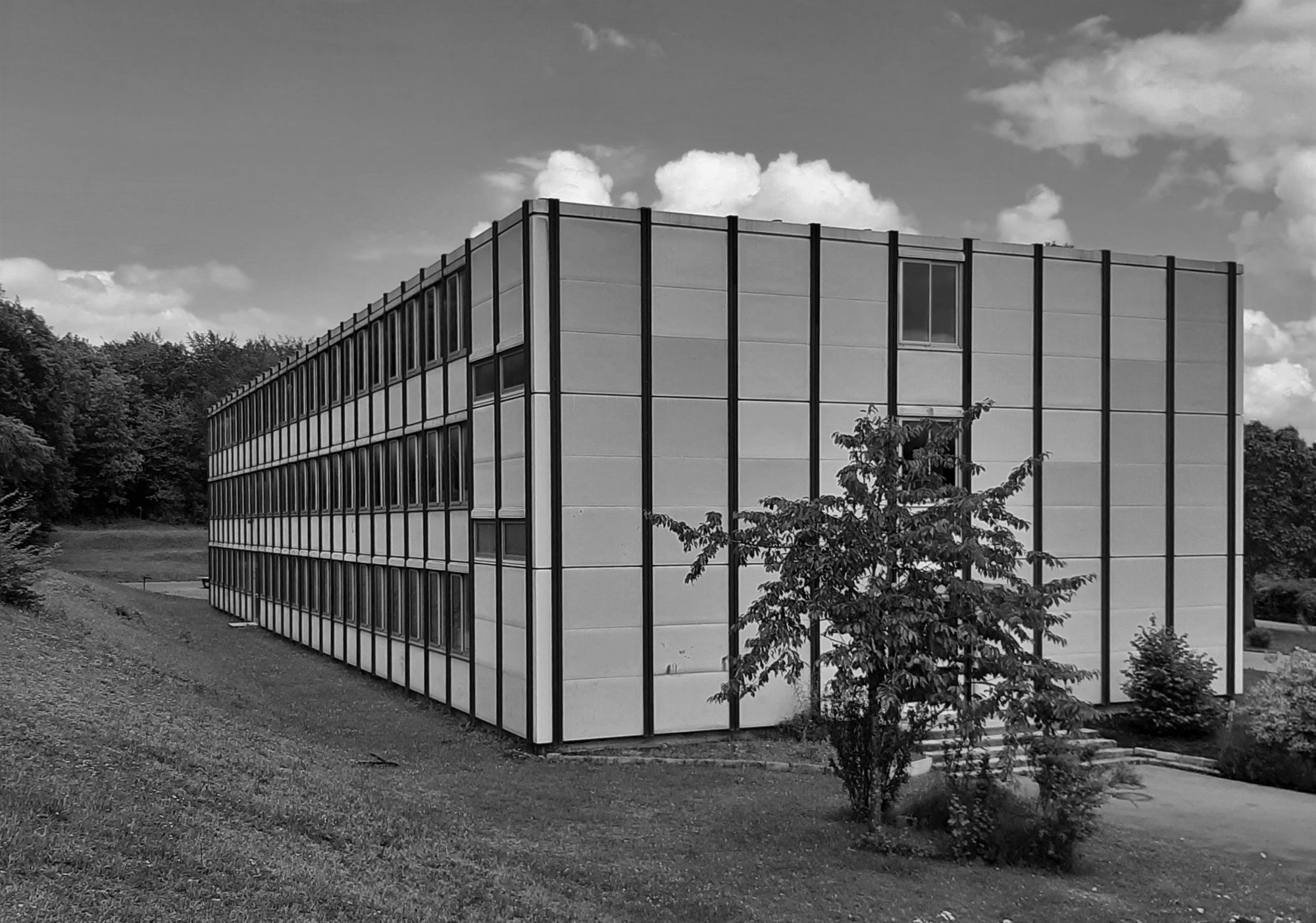 Collectif StudioLada