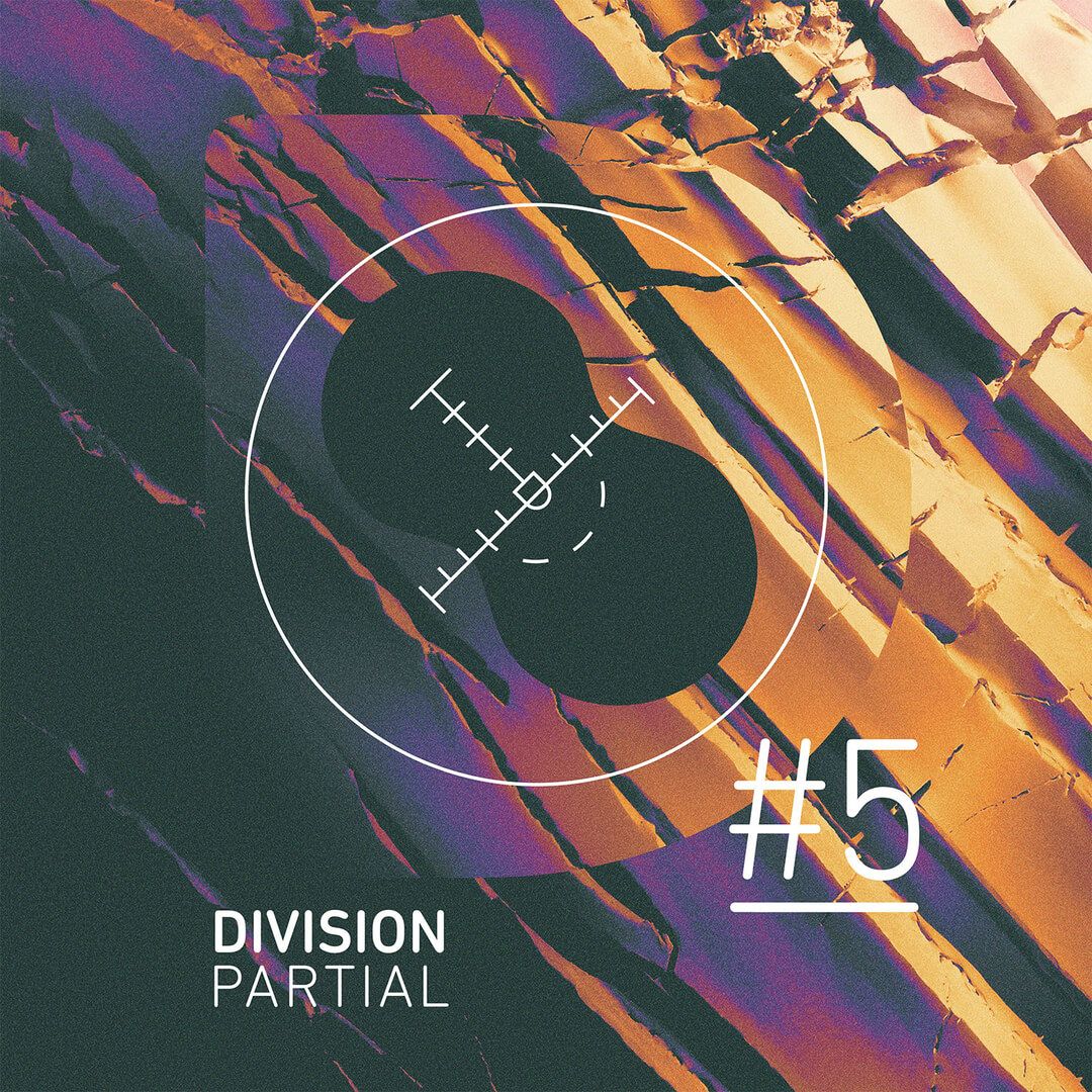 Let's look at Division Partials #5