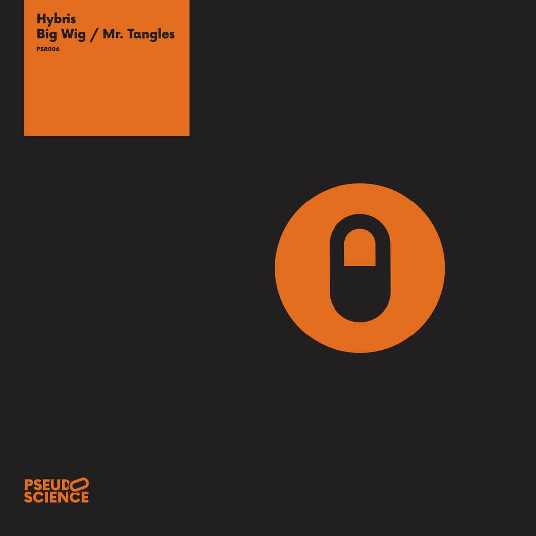A look at Hybris' latest single