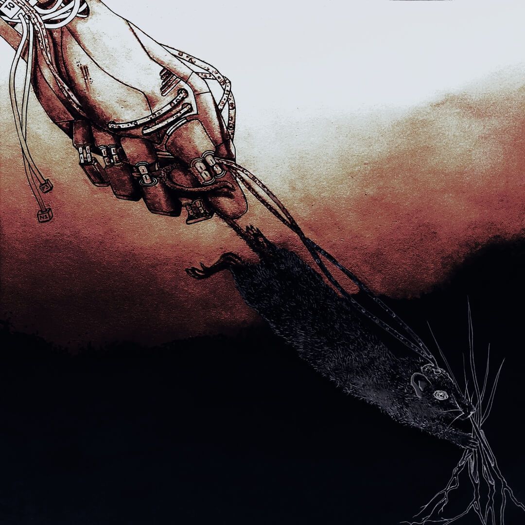 Frequent’s mindbending new single ‘Grass Rat’