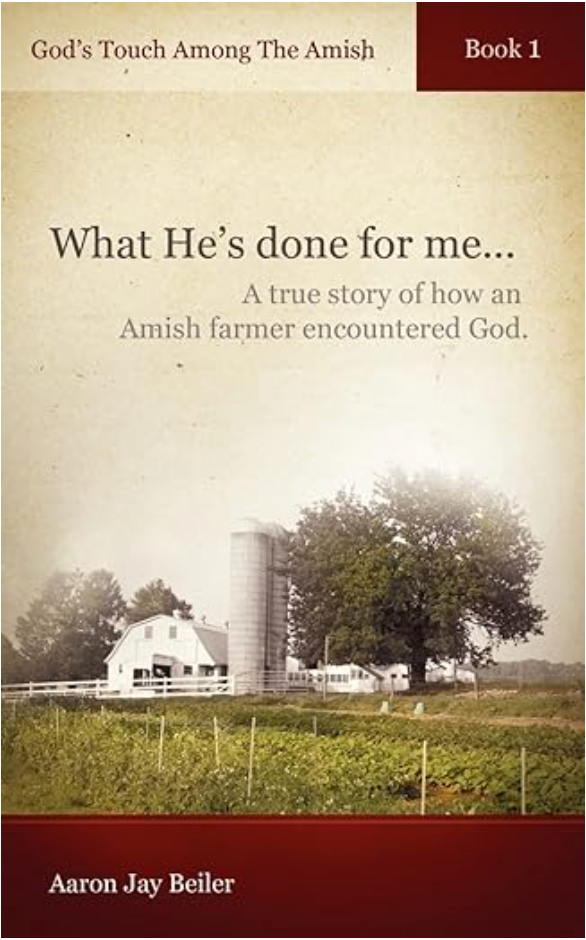 God's Touch Among The Amish cover