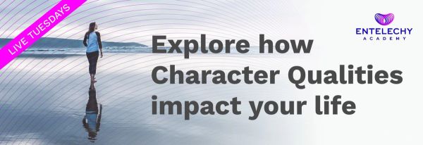 Person walking on the seaside