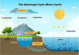 What Do You Mean by Hydrological Cycle | Bhoojal Survey