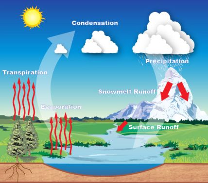 What is Runoff in Hydrology | Bhoojal Survey