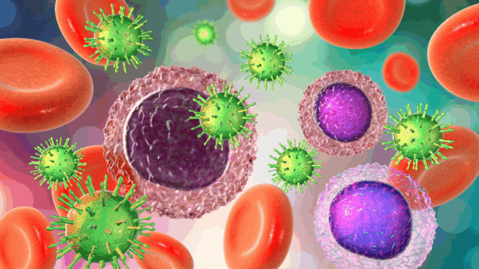 A detailed 3D medical illustration showing immune cells surrounded by red blood cells and green viruses, representing the body’s immune response and cellular defense mechanisms.