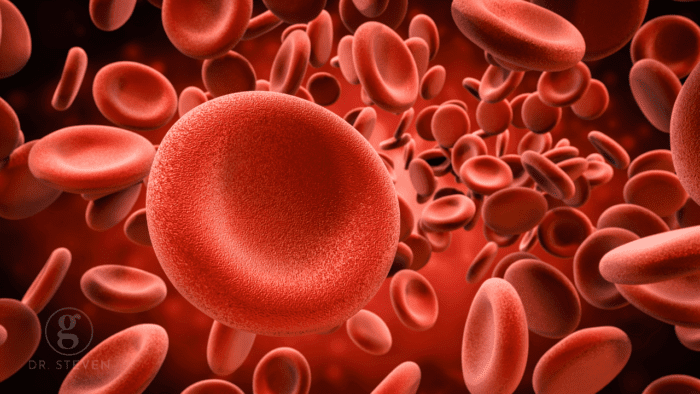 This detailed microscopic image highlights the structure of red blood cells, responsible for transporting oxygen and nutrients throughout the body. The vibrant red color and disc-like shape emphasize their critical role in maintaining health and vitality. Red blood cells are central to the circulatory system, enabling efficient oxygen delivery to tissues and organs.