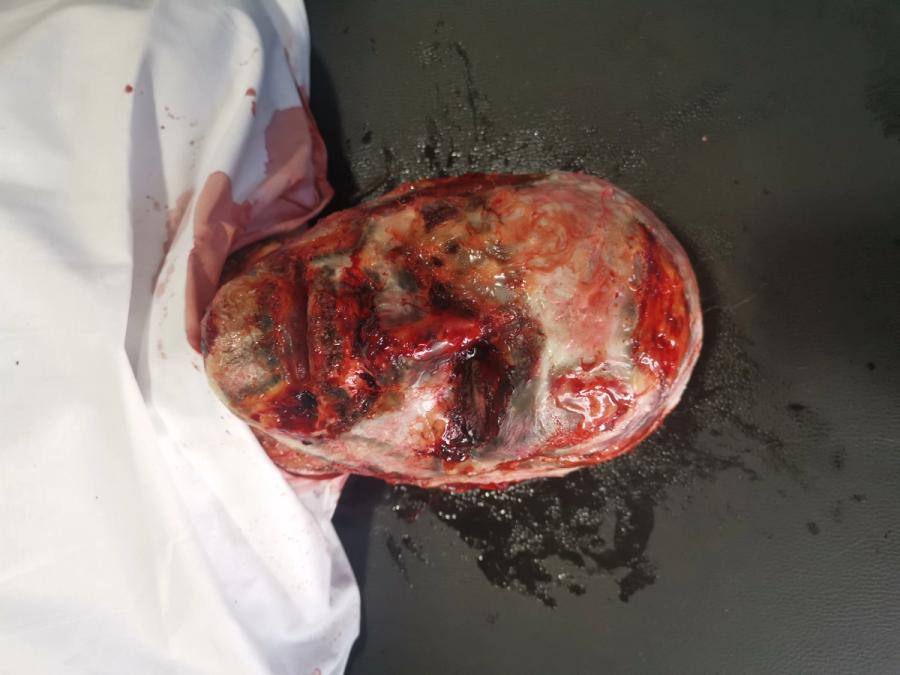 Cold Courage - Behind the scenes 21