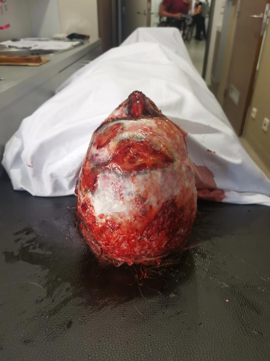 Cold Courage - Behind the scenes 23