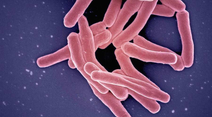 Superbactérias: A ciência por trás da resistência aos antibióticos na água