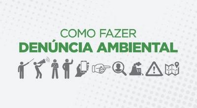 Como reportar o descarte irregular de remédios no seu bairro