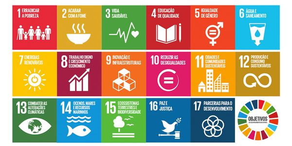 O impacto do EcoMed nos Objetivos de Desenvolvimento Sustentável (ODS) da ONU