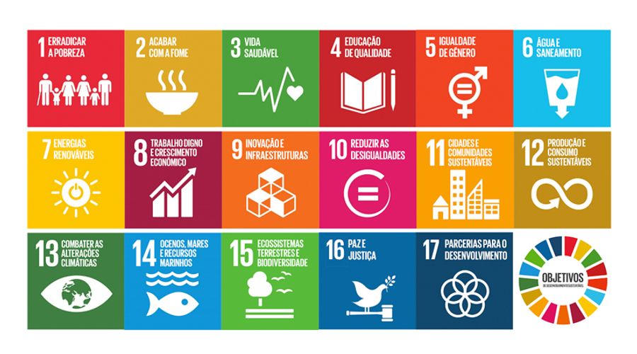 O impacto do EcoMed nos Objetivos de Desenvolvimento Sustentável (ODS) da ONU
