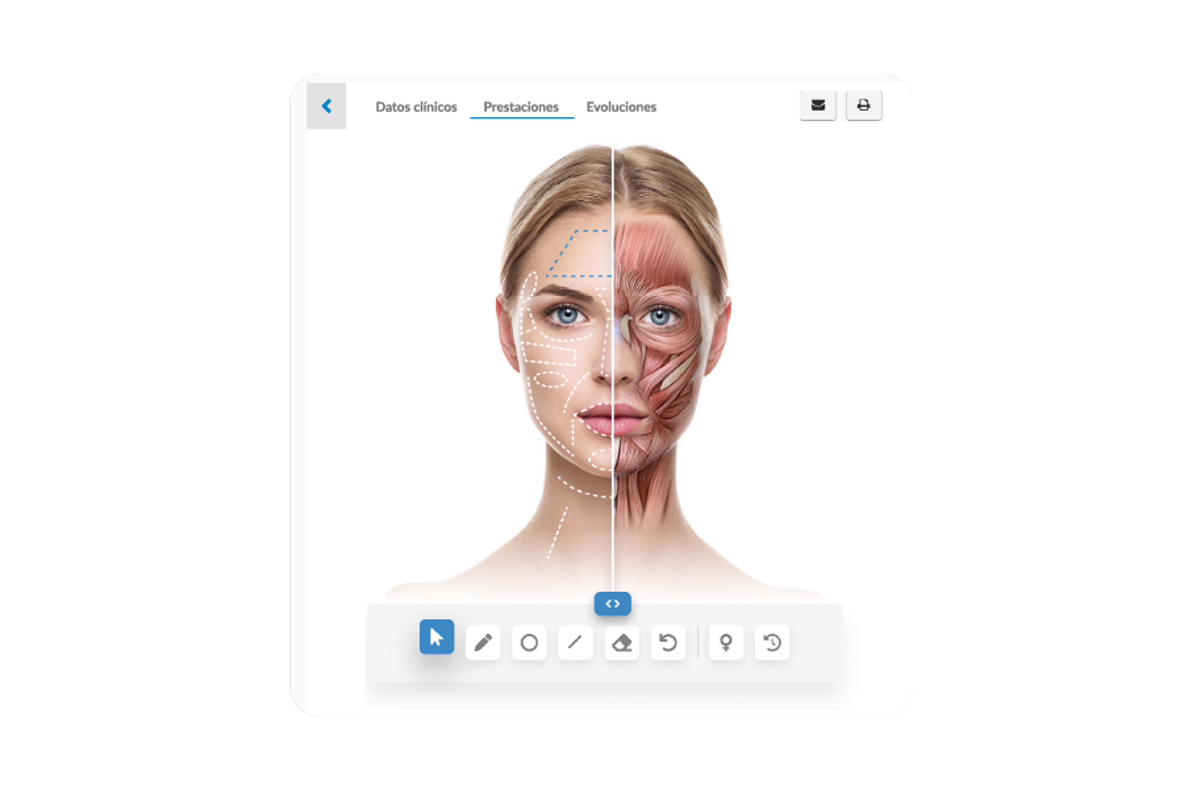 ¿Por qué tener una ficha estética facial en línea?
