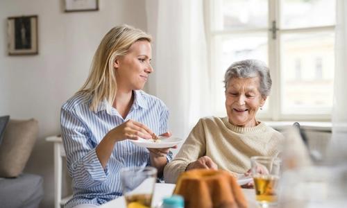 Gentle Transitions Into Elderly Companionship at Home