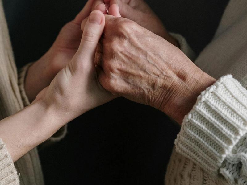 Companionship & emotional support