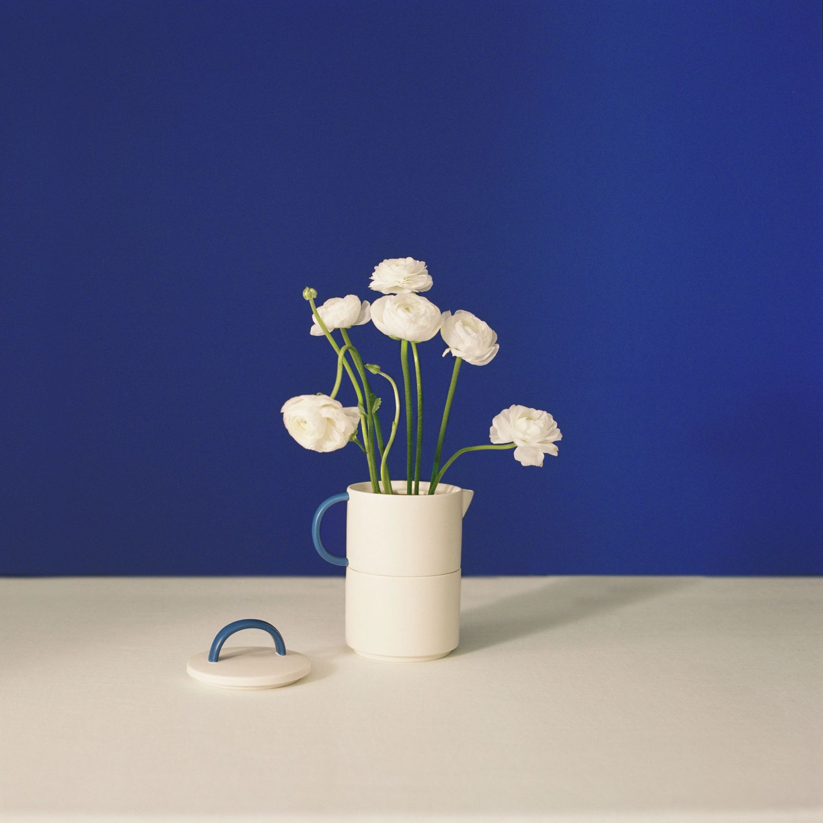 CREATE | Cobalto Collection