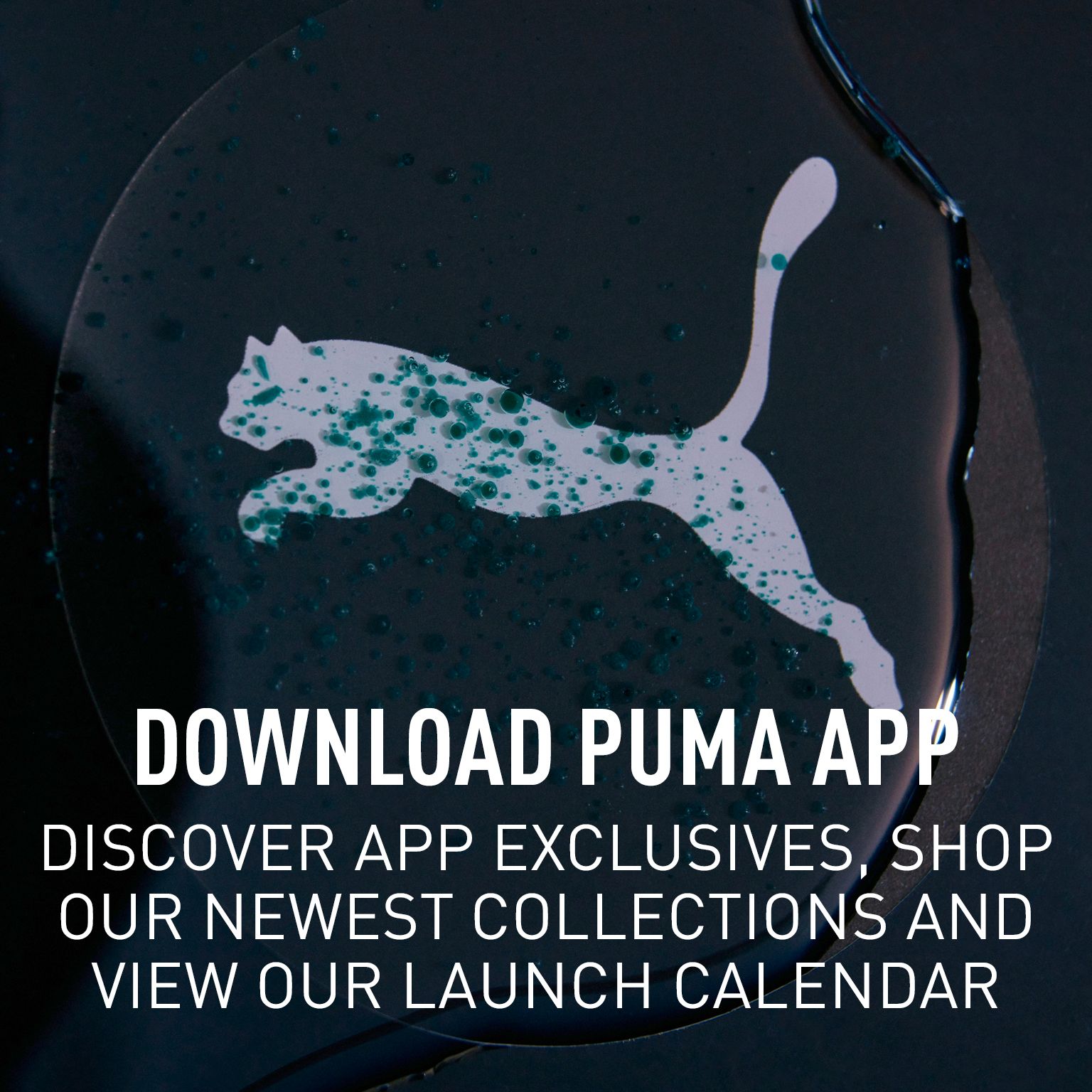 Puma Track Pants - Buy Puma Track Pants Online in India