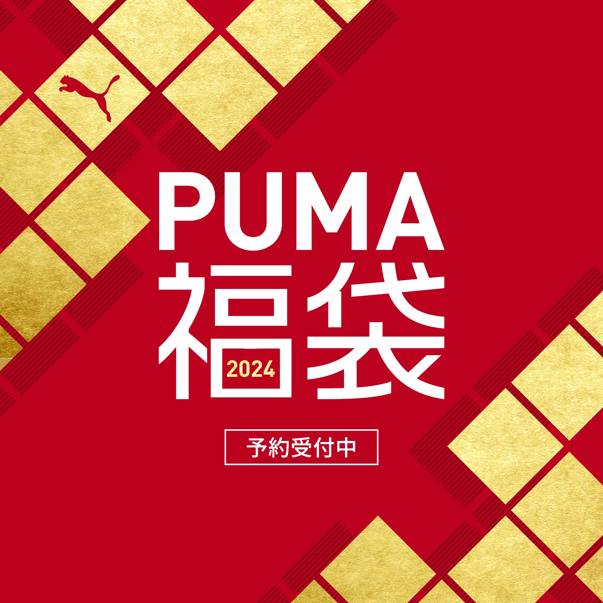 PUMA special edition Mサイズ　プーマスペシャルエディション