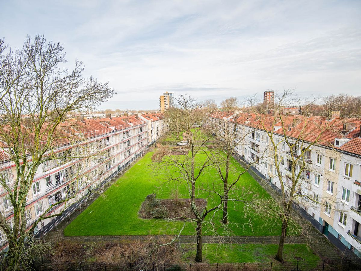 Binnentuin tussen woonblokken aan de Speelmanstraat in Rotterdam
