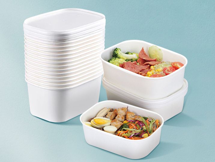 RTO-17 Paper Bowl with paper Lid