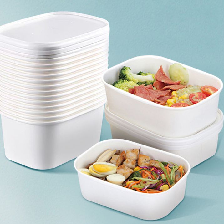 RTO-17 Paper Bowl with paper Lid