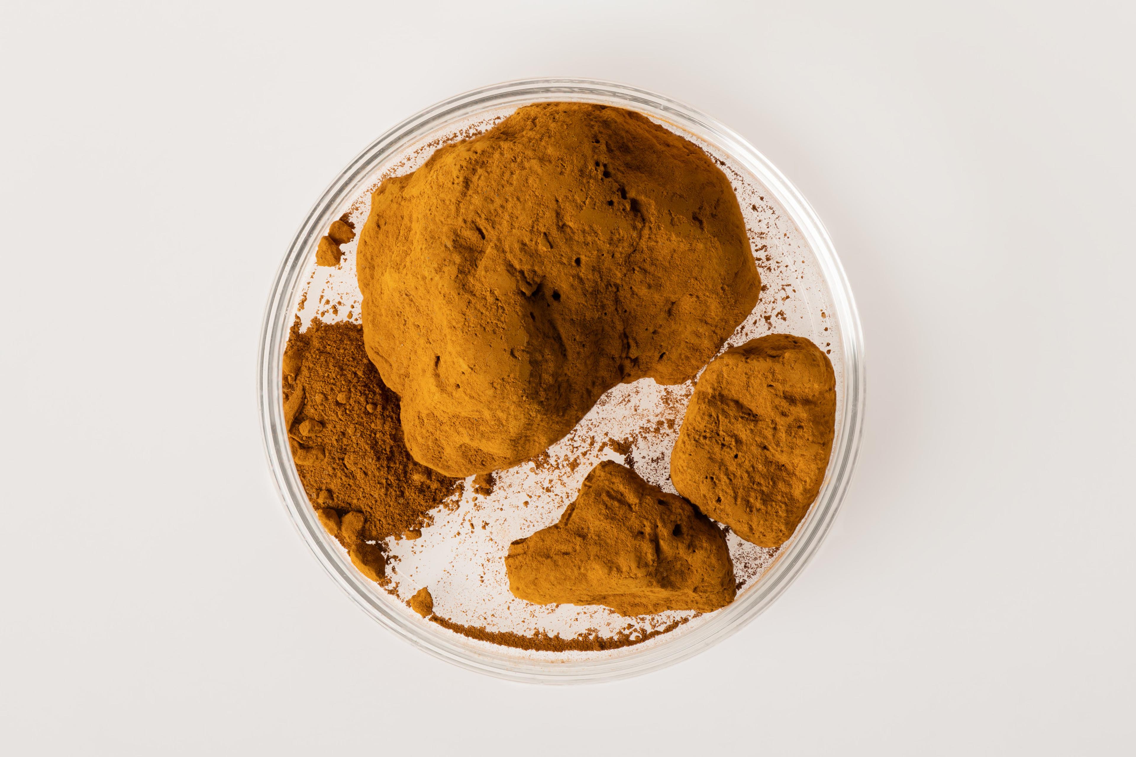 A sample of yellow ochre pigment in a petri dish