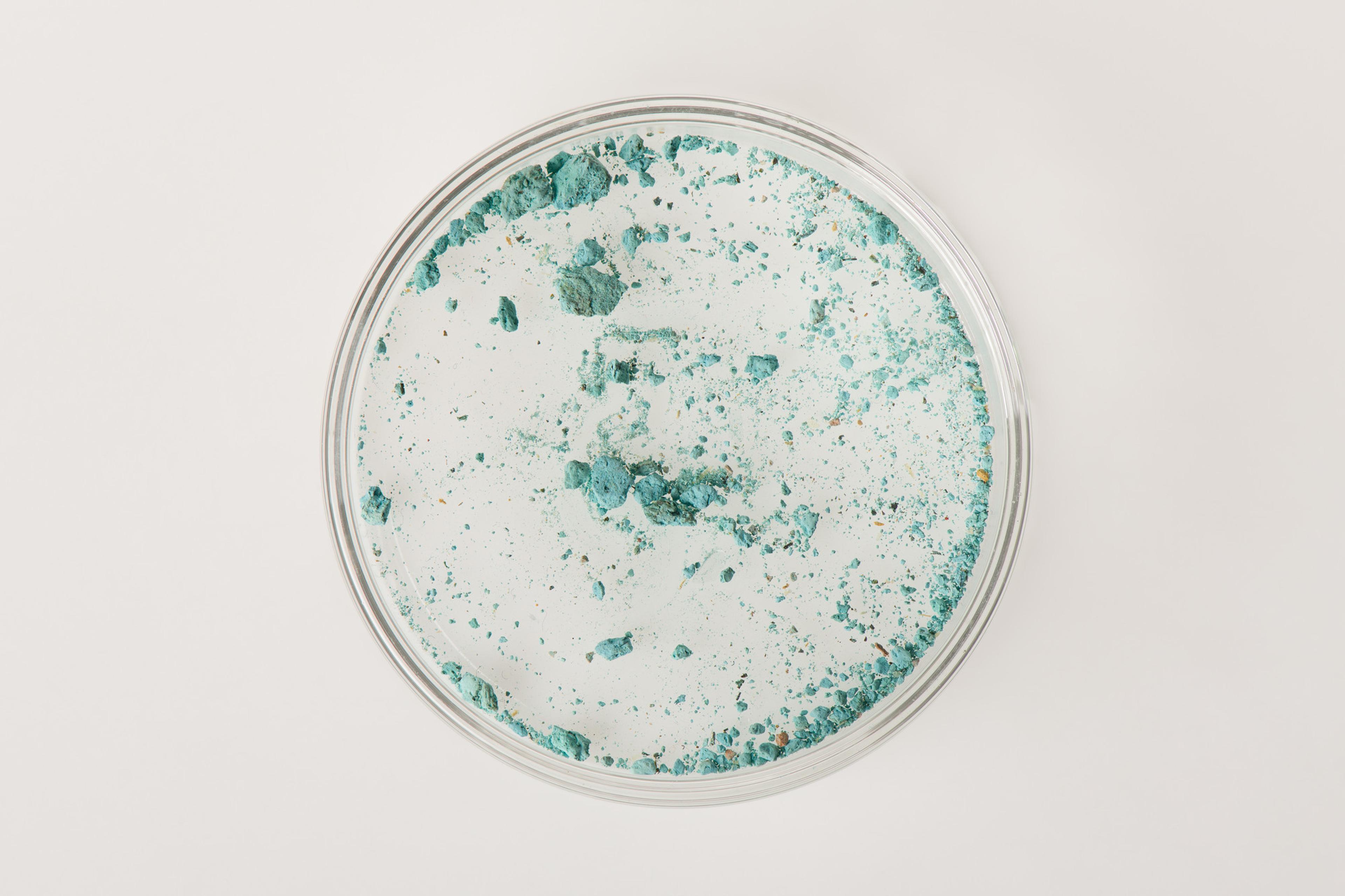 A sample of bright blue pigment in a petri dish