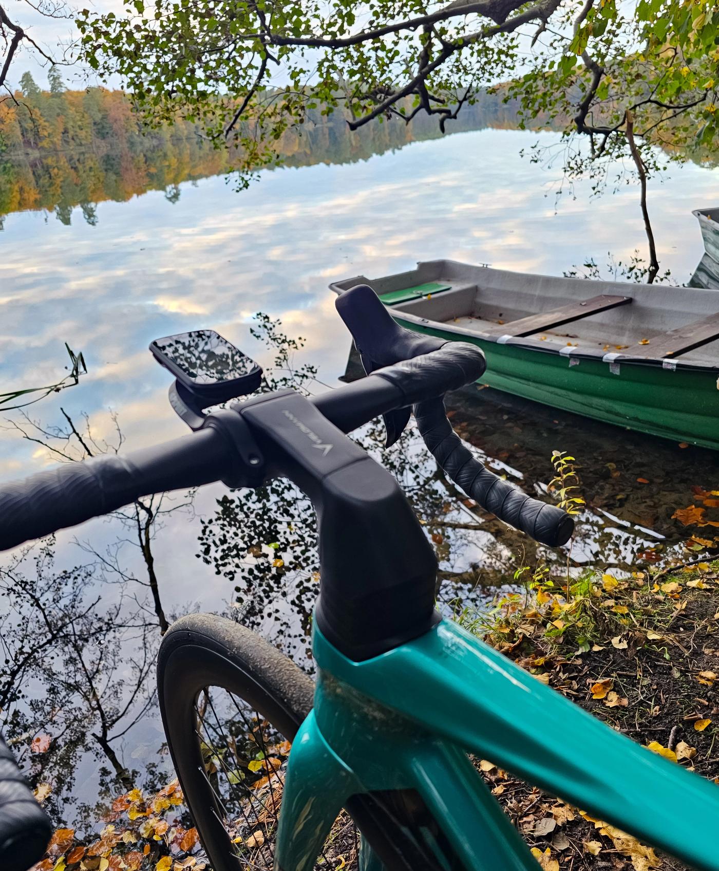 Gravel bike leaning against a tree by Niesłysz Lake in Lubusz Voivodeship, Poland