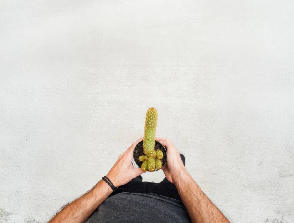 man-holding-cactus