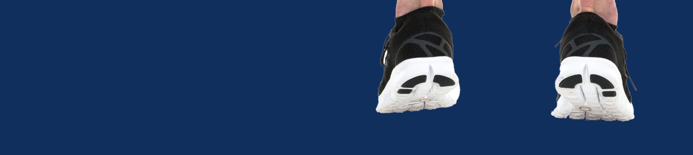 albumin testosterone