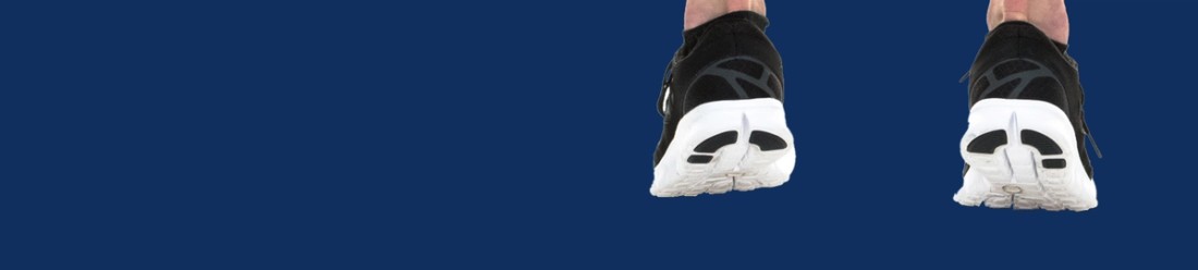 albumin testosterone