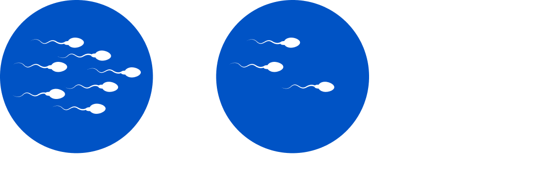 *For visualization purposes only