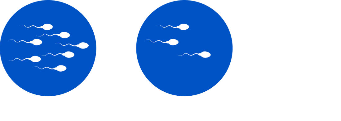 *For visualization purposes only