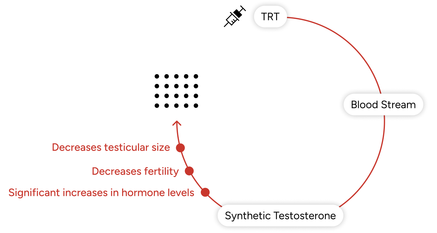 Injectable TRT schema