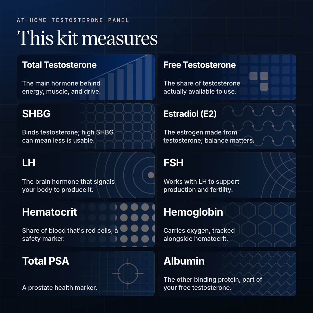 What the kit measures