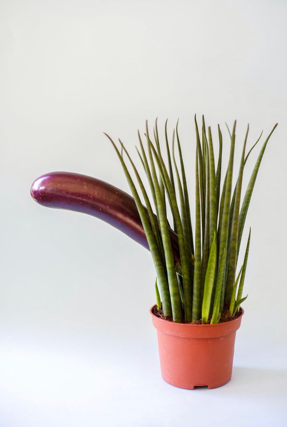 Source: Dainis Graveris / Pexels