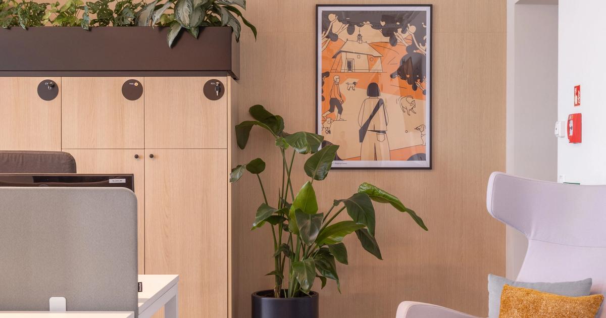 How to design an employee-friendly office? – cyber_Folks case study