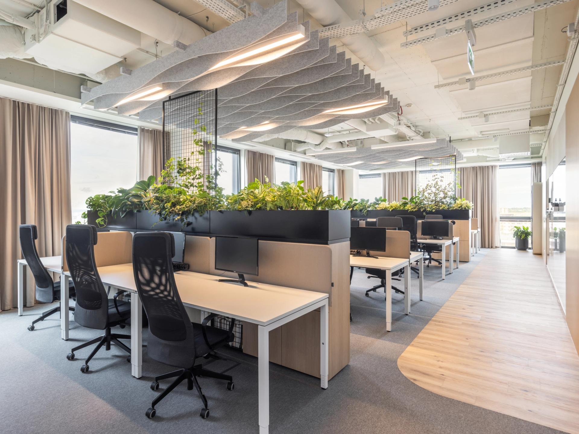 Open space w wynajętym biurze: rzędy biurek z monitorami i czarnymi fotelami, oddzielone donicami z zielenią, pod sufitem faliste filcowe panele akustyczne, a przy oknach lniane zasłony.
