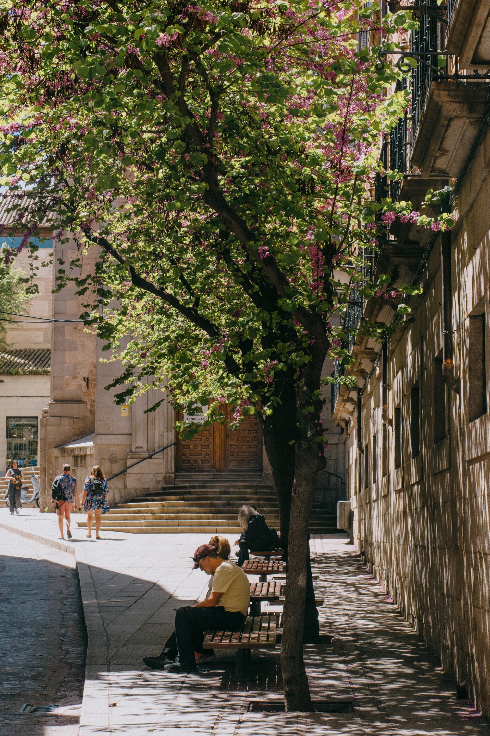 toledo-20